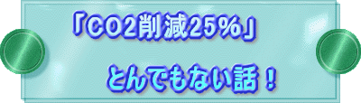 uCO2팸25v  @@ƂłȂbI