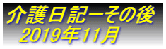 介護日記ーその後 　2019年11月