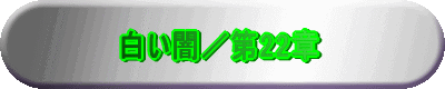 白い闇／第22章